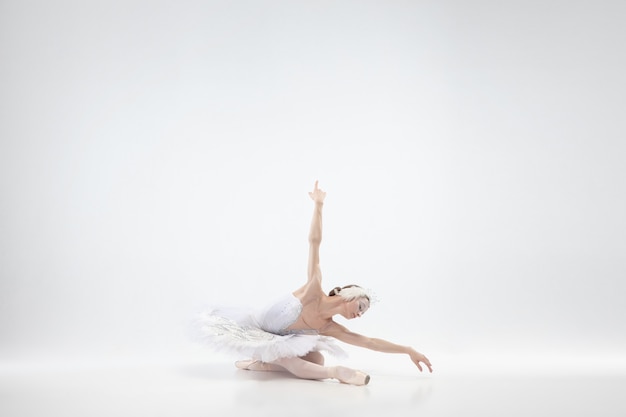 Young graceful ballerina on white studio background