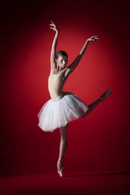 Young graceful female ballet dancer or classic ballerina dancing at red studio.