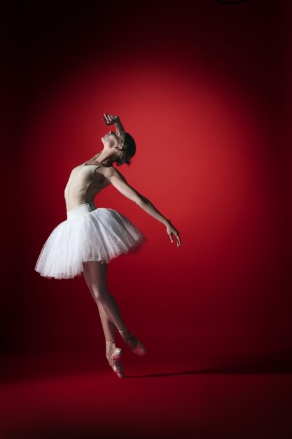 Young graceful female ballet dancer or classic ballerina dancing at red studio.