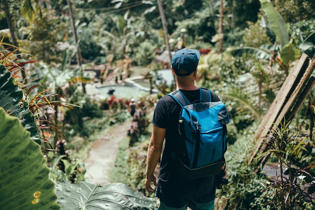 Free photo young guy with a beard and a backpack posing in the jungle in a cap