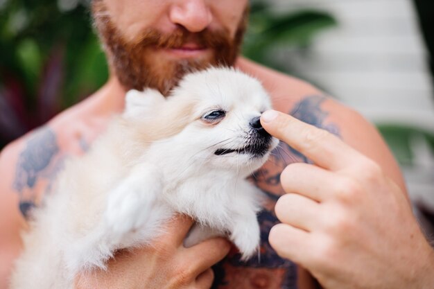 젊은 잘 생긴 수염 난 잔인한 문신을 한 행복한 사람은 사랑스러운 애완 동물을 가지고 노는 포메라니안 스피츠를 보유하고 있습니다.