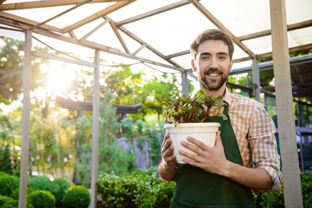 Young handsome cheerful gardener smiling, holding pot with plant