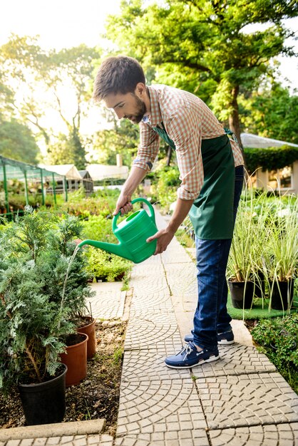 Young handsome cheerful gardener smiling, watering, taking care of plants