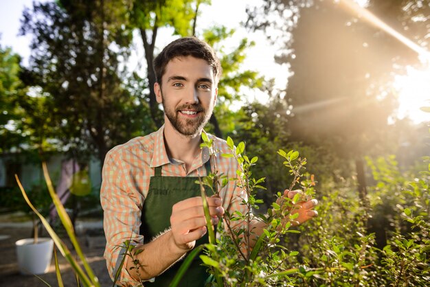 笑みを浮かべて、植物の世話をして若いハンサムな庭師