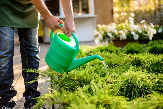 Young handsome gardener watering, taking care of plants Close up.