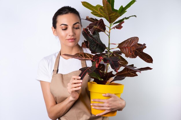 Young housewife in an apron on a white background holds a houseplant in a pot smiles positively