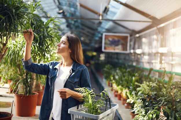 花を買う園芸用品店の裏庭で植物を選ぶ若い女性夏は家の世話をするのに最適な時期です