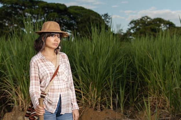 심각한 표정으로 젊은 라틴 여성 농부, 사탕수수 작물에 포즈. 농업 및 재배 개념