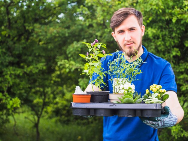 Young male gardener holding potted plant crate