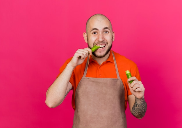 Foto gratuita il giovane giardiniere maschio tiene e finge di mordere il peperoncino