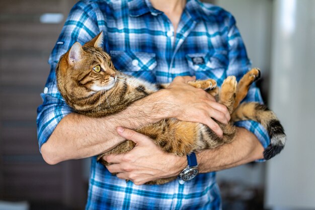 Young male holding a cute Bengal tiger cat in his hands