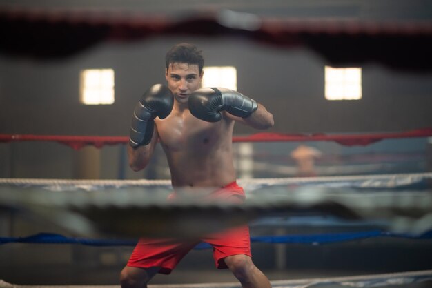 Young man in boxing gloves practicing kickboxing in ring