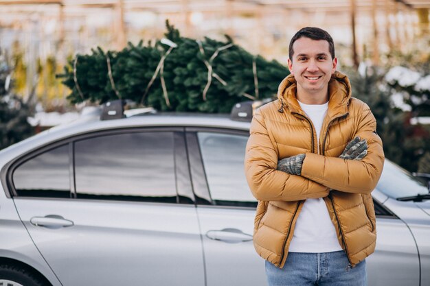 Young man delivering christmas tree on car