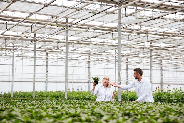 Young man gardener pointing at plant in hands of his colleague