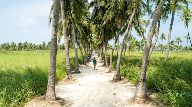 A young man standing in the middle of a sandy road with palm trees on both sides