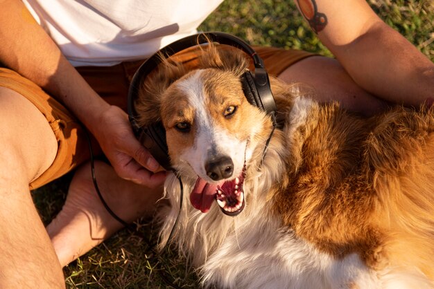 ヘッドフォンで海辺で犬と若い男