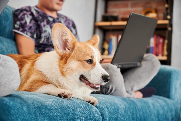 Молодой человек работает на ноутбуке рядом с собакой дома