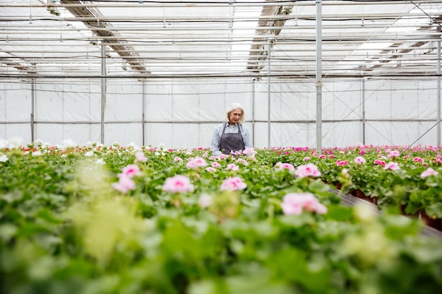 Young mature woman working with plants in greenhouse