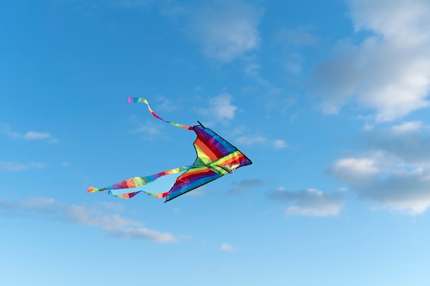 凧を上げる若者