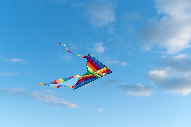 Young people getting their kite up