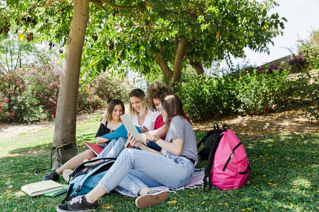 Young people studying in park 