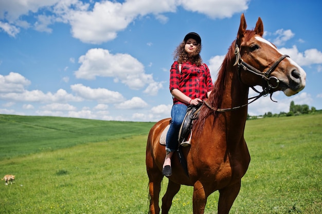 Young pretty girl riding a horse on a field at sunny day