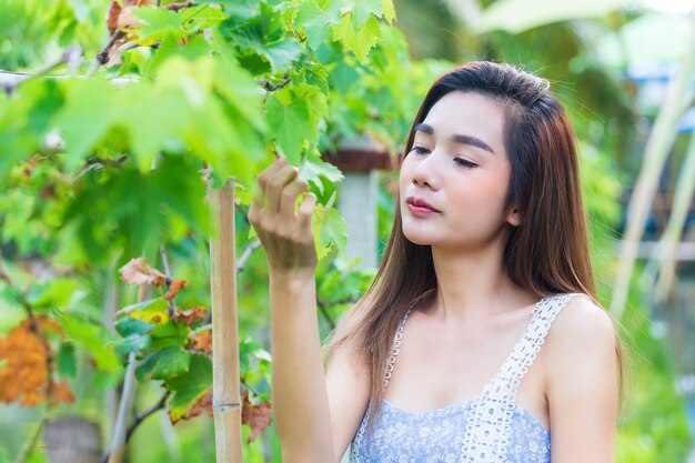 若くてきれいな女性は喜んでブドウの木に感謝