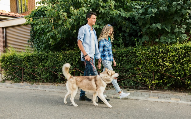 通りで犬を連れて歩いてスタイリッシュなカップル。男と女のハスキー犬と一緒に幸せ