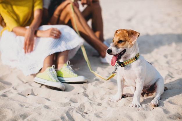 Молодая стильная хипстерская влюбленная пара гуляет и играет с собакой на тропическом пляже