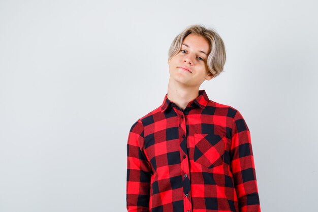 Young teen boy looking at front in checked shirt and looking cheerful. front view.