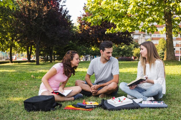 Young teenagers studying on lawn