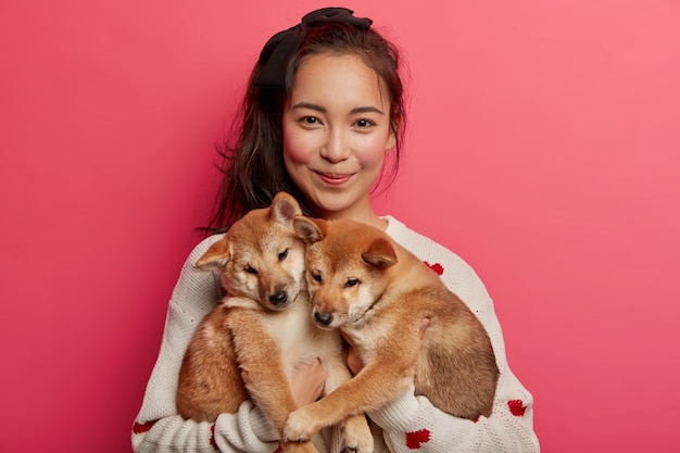 ワイマラナー犬と彼の下に隠れている雑種の子犬 白で隔離されます プレミアム写真