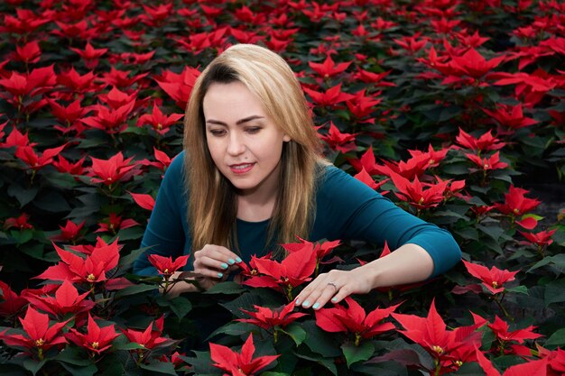 많은 큰 붉은 포인세티아 꽃들 사이에서 젊은 여성이 이 식물 중 하나를 선택합니다