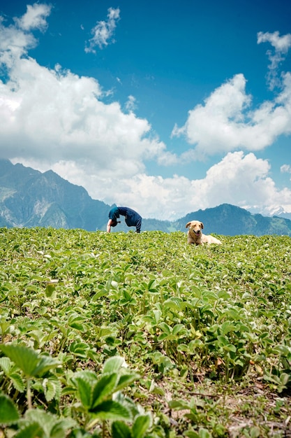 草の上に座っている犬と自然環境の中でヨガの練習をしている若い女性