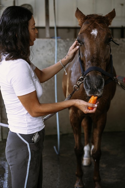 Молодая женщина кормит лошадь морковью.
