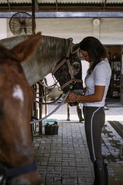 A young woman feeds carrots to a horse.