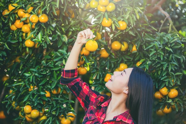 庭の若い女性は庭でオレンジを収穫します。