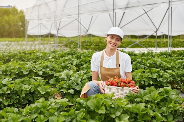 温室でイチゴを収穫する若い女性
