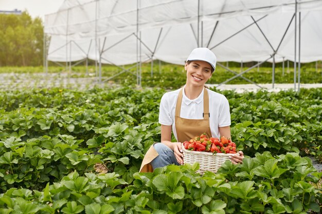 温室でイチゴを収穫する若い女性