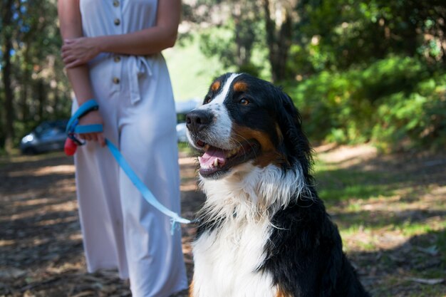 ビーチで犬を楽しんでいる若い女性