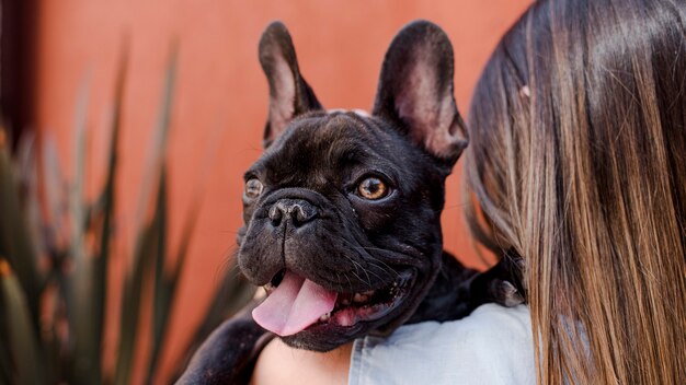 Young woman holding little french bulldog