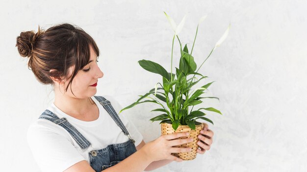 若い、女、保有物、鉢植え