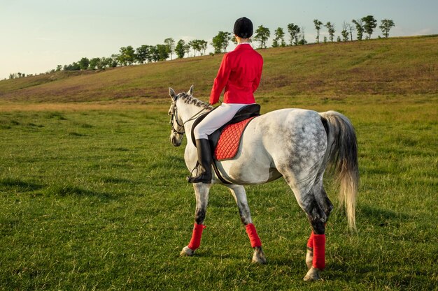 Молодая женщина-всадница, одетая в красный редингот и белые бриджи, со своей лошадью в вечернем свете заката. Фотосъемка на открытом воздухе в лайфстайл-настроении