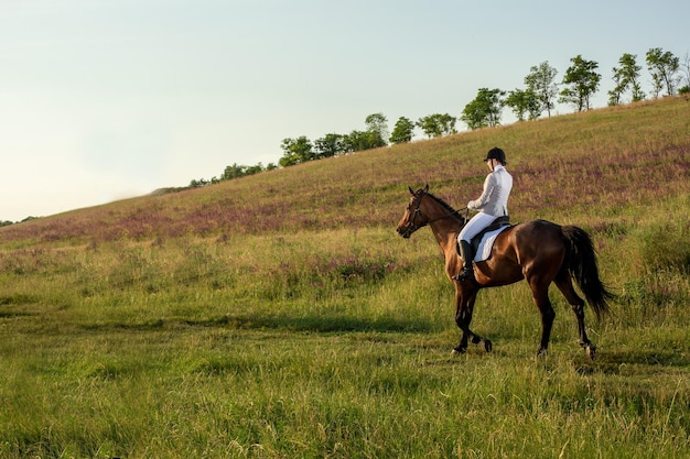 저녁 석양 빛에 그녀의 말과 함께 젊은 여자 라이더. 라이프 스타일 분위기에서 야외 사진입니다. 승마주의. 말 타기. 경마. 말을 탄 라이더.