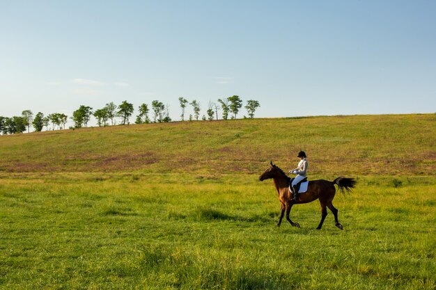 Молодая женщина верхом на лошади по зеленому полю. Верховая езда. Соревнование. Хобби