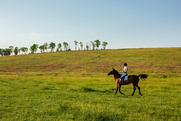 緑の野原で馬に乗る若い女性。乗馬。コンペ。趣味