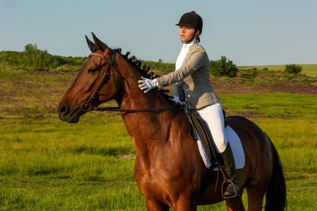 Young woman riding a horse on the green field. Horseback Riding. Competition. Hobby