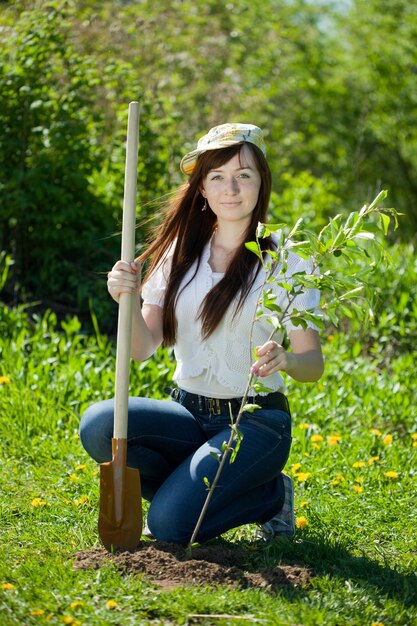 Young woman sets tree