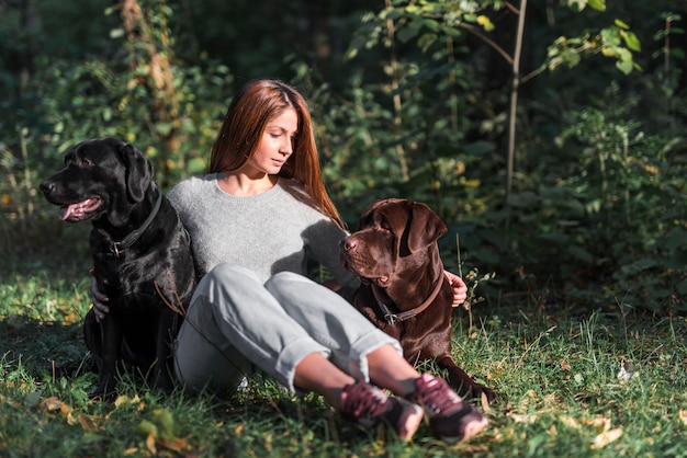 Young woman sitting in park with her two labradors