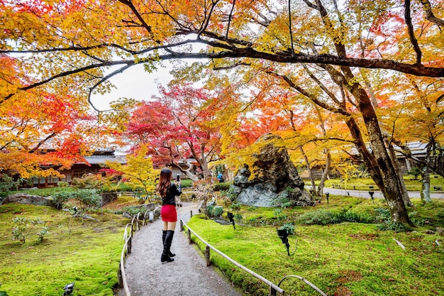 若い女性が秋の公園で写真を撮ります。秋の色とりどりの葉、日本の京都。